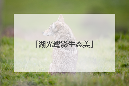 湖光鹭影生态美