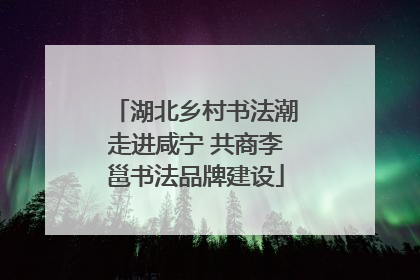湖北乡村书法潮走进咸宁 共商李邕书法品牌建设