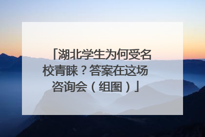 湖北学生为何受名校青睐？答案在这场咨询会（组图）