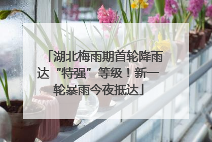 湖北梅雨期首轮降雨达“特强”等级！新一轮暴雨今夜抵达