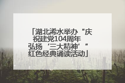 湖北浠水举办“庆祝建党104周年 弘扬‘三大精神’”红色经典诵读活动