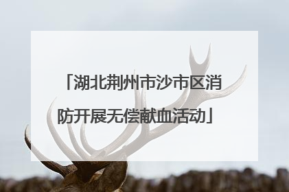 湖北荆州市沙市区消防开展无偿献血活动