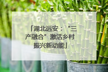 湖北远安：“三产融合”激活乡村振兴新动能