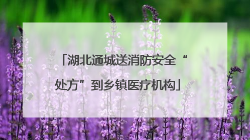 湖北通城送消防安全“处方”到乡镇医疗机构