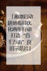 湘潭启动耕地布局优化两年行动 打造“百千万亩”良田示范片
