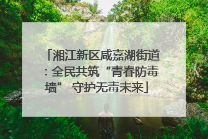 湘江新区咸嘉湖街道：全民共筑“青春防毒墙” 守护无毒未来