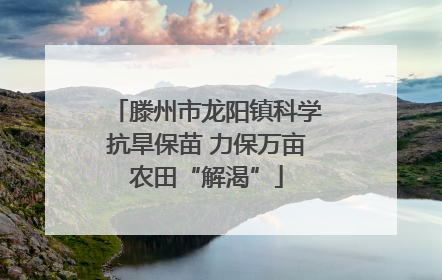 滕州市龙阳镇科学抗旱保苗 力保万亩农田“解渴”