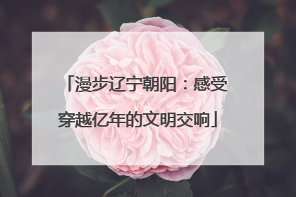 漫步辽宁朝阳：感受穿越亿年的文明交响