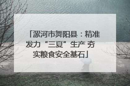 漯河市舞阳县：精准发力“三夏”生产 夯实粮食安全基石