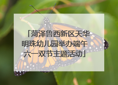 菏泽鲁西新区天华明珠幼儿园举办端午六一双节主题活动