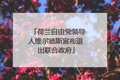 荷兰自由党领导人维尔德斯宣布退出联合政府