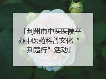 荆州市中医医院举办中医药科普文化“荆楚行”活动