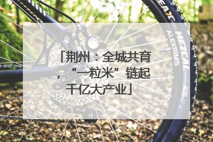 荆州：全城共育，“一粒米”链起千亿大产业