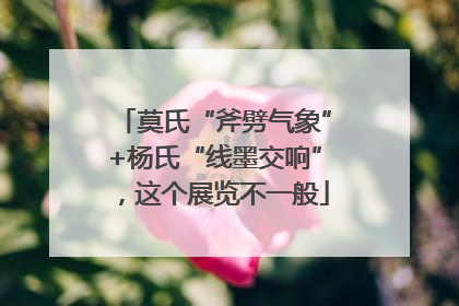莫氏“斧劈气象”+杨氏“线墨交响”，这个展览不一般