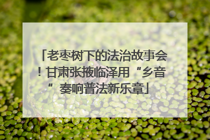 老枣树下的法治故事会！甘肃张掖临泽用“乡音”奏响普法新乐章
