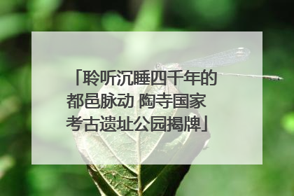 聆听沉睡四千年的都邑脉动 陶寺国家考古遗址公园揭牌