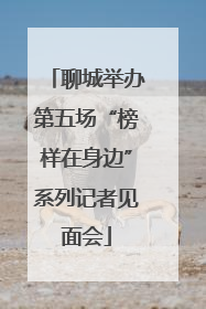 聊城举办第五场“榜样在身边”系列记者见面会
