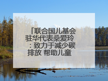 联合国儿基会驻华代表桑爱玲：致力于减少碳排放 帮助儿童适应气候变化