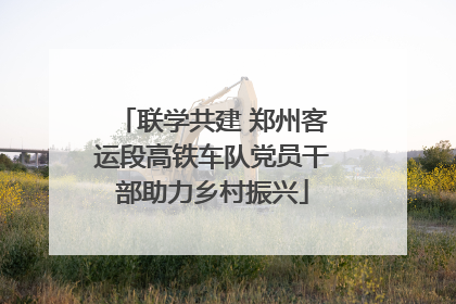 联学共建 郑州客运段高铁车队党员干部助力乡村振兴