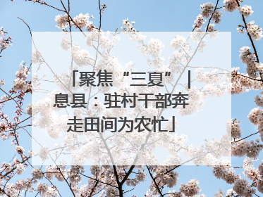 聚焦“三夏”｜息县：驻村干部奔走田间为农忙