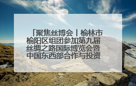 聚焦丝博会丨榆林市榆阳区组团参加第九届丝绸之路国际博览会暨中国东西部合作与投资贸易洽谈会