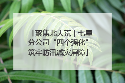 聚焦北大荒｜七星分公司“四个强化”筑牢防汛减灾屏障
