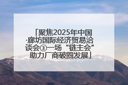 聚焦2025年中国·廊坊国际经济贸易洽谈会③一场“链主会” 助力厂商破圈发展