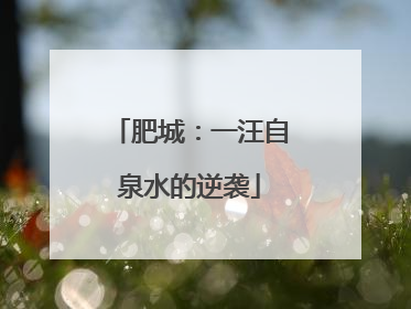 肥城：一汪自泉水的逆袭