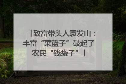 致富带头人袁发山：丰富“菜篮子”鼓起了农民“钱袋子”