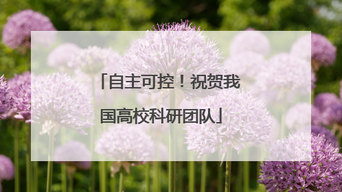 自主可控！祝贺我国高校科研团队