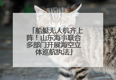 船艇无人机齐上阵！山东海事联合多部门开展海空立体巡航执法