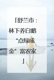 舒兰市：林下养白鹅 “点绿成金”富农家