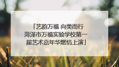 艺韵万福 向美而行 菏泽市万福实验学校第一届艺术嘉年华燃情上演