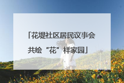 花堤社区居民议事会共绘“花”样家园