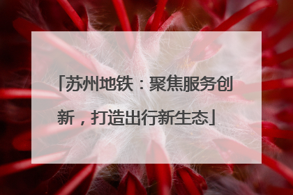 苏州地铁：聚焦服务创新，打造出行新生态