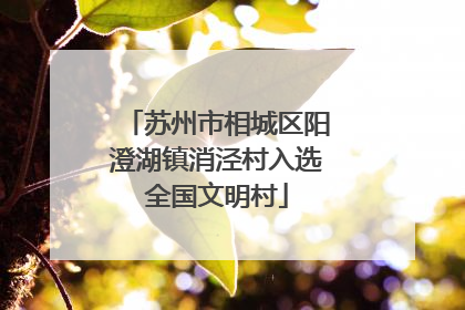 苏州市相城区阳澄湖镇消泾村入选全国文明村