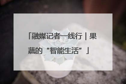 融媒记者一线行｜果蔬的“智能生活”