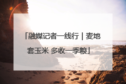 融媒记者一线行｜麦地套玉米 多收一季粮