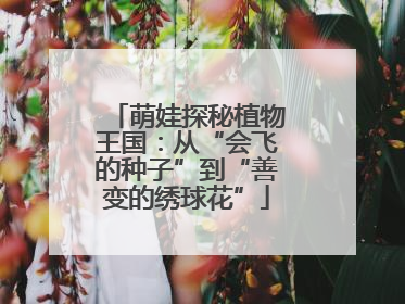 萌娃探秘植物王国：从“会飞的种子”到“善变的绣球花”