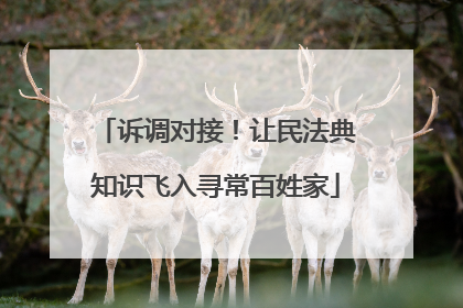 诉调对接！让民法典知识飞入寻常百姓家