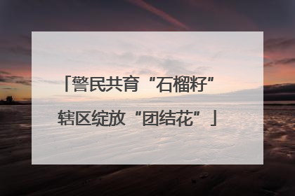 警民共育“石榴籽” 辖区绽放“团结花”