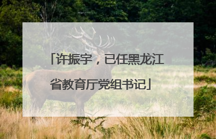 许振宇，已任黑龙江省教育厅党组书记