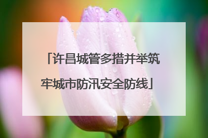 许昌城管多措并举筑牢城市防汛安全防线