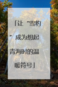 让“雪豹”成为想起青海时的温暖符号