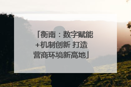 衡南：数字赋能+机制创新 打造营商环境新高地