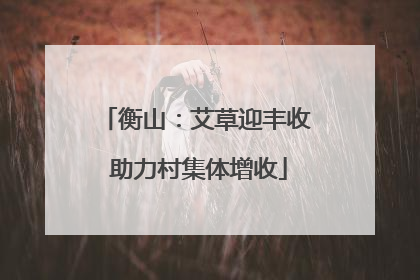 衡山：艾草迎丰收 助力村集体增收