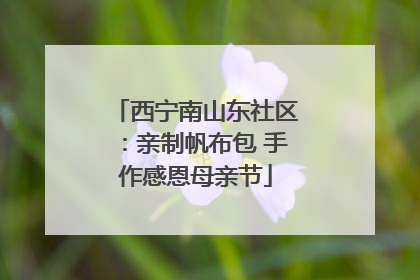 西宁南山东社区：亲制帆布包 手作感恩母亲节