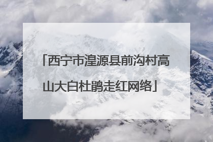 西宁市湟源县前沟村高山大白杜鹃走红网络