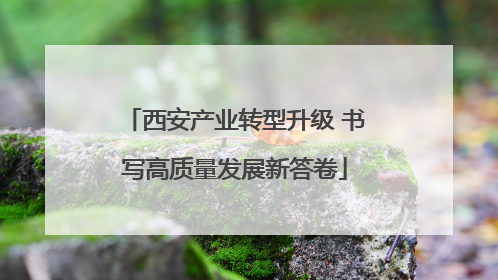西安产业转型升级 书写高质量发展新答卷