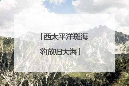 西太平洋斑海豹放归大海